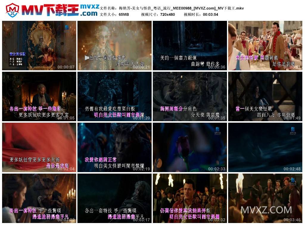 梅艳芳-美女与怪兽_粤语_流行_MEE00988
